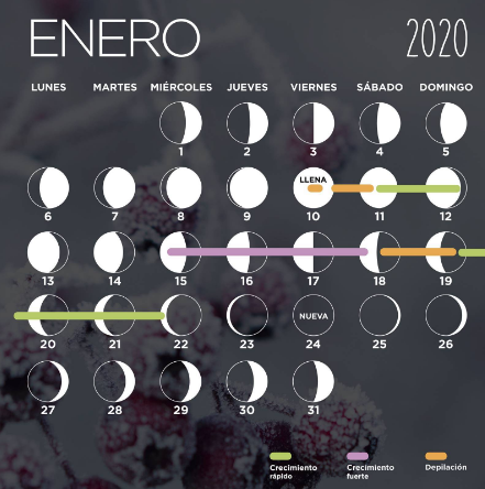 enero 2020 fases lunares